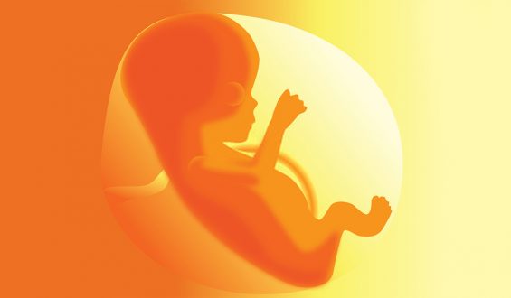 What are Foetal movements?